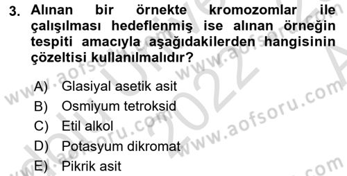 Temel Veteriner Histoloji ve Embriyoloji Dersi 2022 - 2023 Yılı (Vize) Ara Sınavı 3. Soru