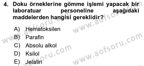 Temel Veteriner Histoloji ve Embriyoloji Dersi 2022 - 2023 Yılı (Vize) Ara Sınavı 4. Soru