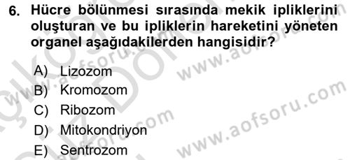 Temel Veteriner Histoloji ve Embriyoloji Dersi 2022 - 2023 Yılı (Vize) Ara Sınavı 6. Soru