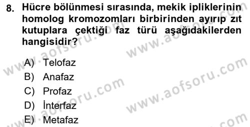 Temel Veteriner Histoloji ve Embriyoloji Dersi 2022 - 2023 Yılı (Vize) Ara Sınavı 8. Soru