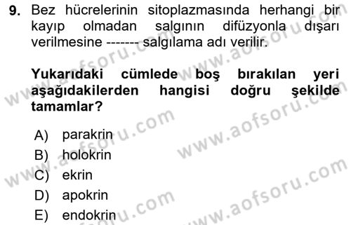 Temel Veteriner Histoloji ve Embriyoloji Dersi 2022 - 2023 Yılı (Vize) Ara Sınavı 9. Soru