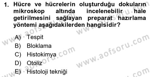 Temel Veteriner Histoloji ve Embriyoloji Dersi 2022 - 2023 Yılı (Final) Dönem Sonu Sınav Soruları 1. Soru