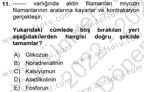 Temel Veteriner Histoloji ve Embriyoloji Dersi 2022 - 2023 Yılı (Final) Dönem Sonu Sınav Soruları 11. Soru