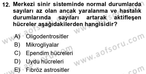 Temel Veteriner Histoloji ve Embriyoloji Dersi 2022 - 2023 Yılı (Final) Dönem Sonu Sınav Soruları 12. Soru