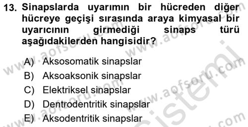 Temel Veteriner Histoloji ve Embriyoloji Dersi 2022 - 2023 Yılı (Final) Dönem Sonu Sınav Soruları 13. Soru