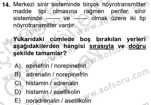 Temel Veteriner Histoloji ve Embriyoloji Dersi 2022 - 2023 Yılı (Final) Dönem Sonu Sınav Soruları 14. Soru