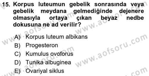 Temel Veteriner Histoloji ve Embriyoloji Dersi 2022 - 2023 Yılı (Final) Dönem Sonu Sınav Soruları 15. Soru
