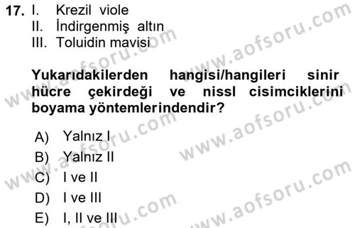 Temel Veteriner Histoloji ve Embriyoloji Dersi 2022 - 2023 Yılı (Final) Dönem Sonu Sınav Soruları 17. Soru