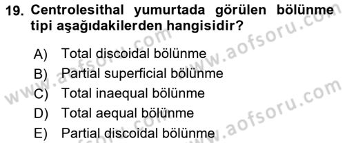 Temel Veteriner Histoloji ve Embriyoloji Dersi 2022 - 2023 Yılı (Final) Dönem Sonu Sınav Soruları 19. Soru