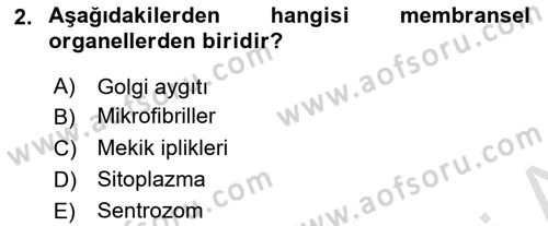 Temel Veteriner Histoloji ve Embriyoloji Dersi 2022 - 2023 Yılı (Final) Dönem Sonu Sınav Soruları 2. Soru