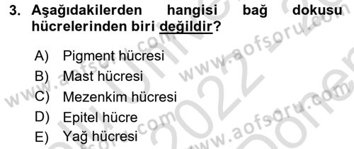 Temel Veteriner Histoloji ve Embriyoloji Dersi 2022 - 2023 Yılı (Final) Dönem Sonu Sınav Soruları 3. Soru