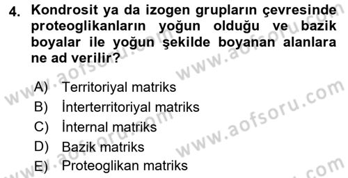 Temel Veteriner Histoloji ve Embriyoloji Dersi 2022 - 2023 Yılı (Final) Dönem Sonu Sınav Soruları 4. Soru