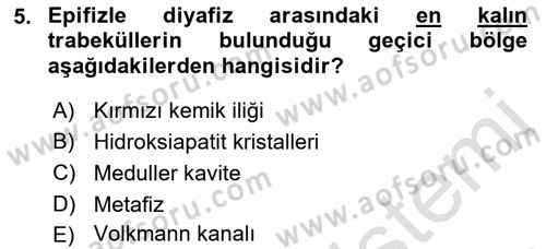 Temel Veteriner Histoloji ve Embriyoloji Dersi 2022 - 2023 Yılı (Final) Dönem Sonu Sınav Soruları 5. Soru