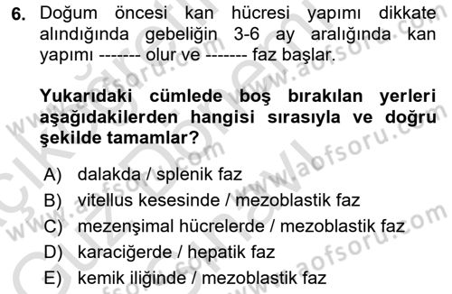 Temel Veteriner Histoloji ve Embriyoloji Dersi 2022 - 2023 Yılı (Final) Dönem Sonu Sınav Soruları 6. Soru