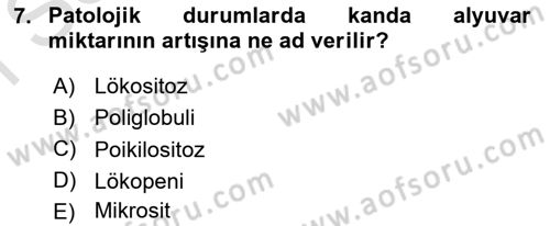 Temel Veteriner Histoloji ve Embriyoloji Dersi 2022 - 2023 Yılı (Final) Dönem Sonu Sınav Soruları 7. Soru