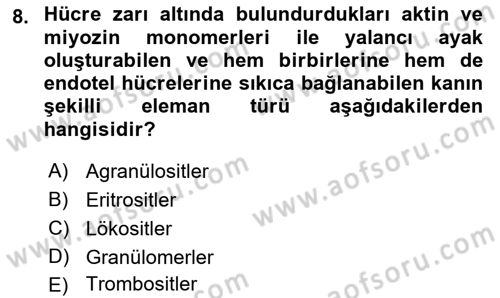 Temel Veteriner Histoloji ve Embriyoloji Dersi 2022 - 2023 Yılı (Final) Dönem Sonu Sınav Soruları 8. Soru