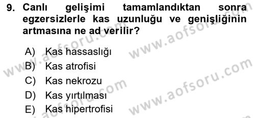 Temel Veteriner Histoloji ve Embriyoloji Dersi 2022 - 2023 Yılı (Final) Dönem Sonu Sınav Soruları 9. Soru