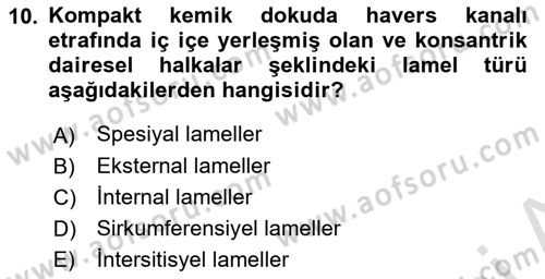 Temel Veteriner Histoloji ve Embriyoloji Dersi 2022 - 2023 Yılı Yaz Okulu Sınav Soruları 10. Soru