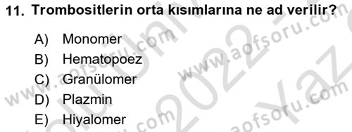 Temel Veteriner Histoloji ve Embriyoloji Dersi 2022 - 2023 Yılı Yaz Okulu Sınav Soruları 11. Soru