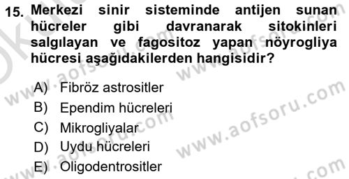Temel Veteriner Histoloji ve Embriyoloji Dersi 2022 - 2023 Yılı Yaz Okulu Sınav Soruları 15. Soru