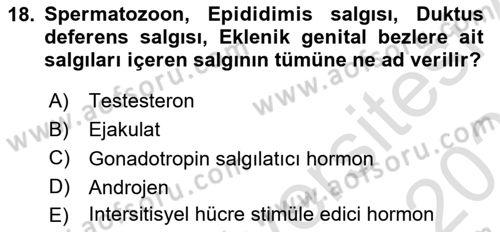 Temel Veteriner Histoloji ve Embriyoloji Dersi 2022 - 2023 Yılı Yaz Okulu Sınav Soruları 18. Soru