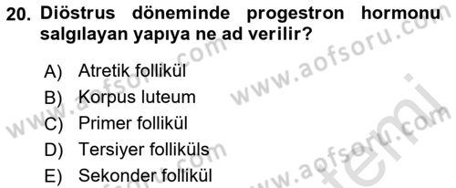 Temel Veteriner Histoloji ve Embriyoloji Dersi 2022 - 2023 Yılı Yaz Okulu Sınav Soruları 20. Soru