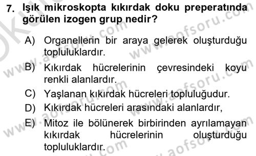Temel Veteriner Histoloji ve Embriyoloji Dersi 2022 - 2023 Yılı Yaz Okulu Sınav Soruları 7. Soru