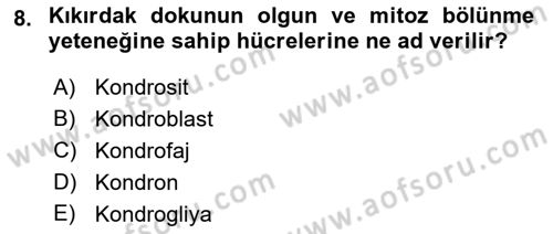 Temel Veteriner Histoloji ve Embriyoloji Dersi 2022 - 2023 Yılı Yaz Okulu Sınav Soruları 8. Soru