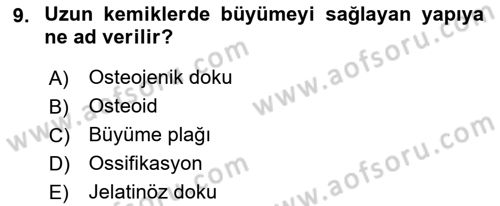 Temel Veteriner Histoloji ve Embriyoloji Dersi 2022 - 2023 Yılı Yaz Okulu Sınav Soruları 9. Soru