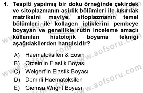 Temel Veteriner Histoloji ve Embriyoloji Dersi Ara Sınavı Deneme Sınav Soruları 1. Soru