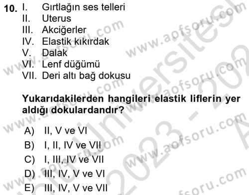 Temel Veteriner Histoloji ve Embriyoloji Dersi 2023 - 2024 Yılı (Vize) Ara Sınav Soruları 10. Soru