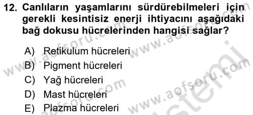 Temel Veteriner Histoloji ve Embriyoloji Dersi Ara Sınavı Deneme Sınav Soruları 12. Soru