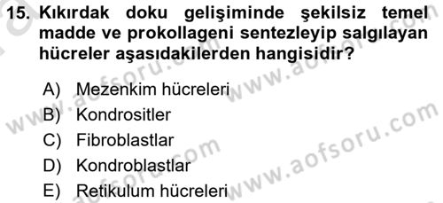 Temel Veteriner Histoloji ve Embriyoloji Dersi Ara Sınavı Deneme Sınav Soruları 15. Soru