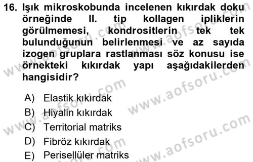 Temel Veteriner Histoloji ve Embriyoloji Dersi 2023 - 2024 Yılı (Vize) Ara Sınav Soruları 16. Soru