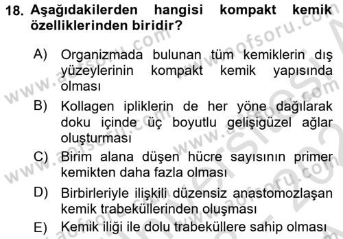 Temel Veteriner Histoloji ve Embriyoloji Dersi Ara Sınavı Deneme Sınav Soruları 18. Soru
