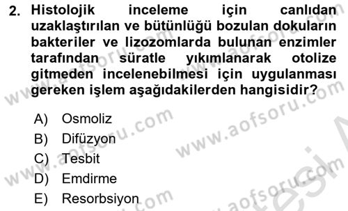 Temel Veteriner Histoloji ve Embriyoloji Dersi 2023 - 2024 Yılı (Vize) Ara Sınav Soruları 2. Soru