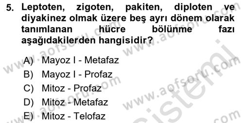 Temel Veteriner Histoloji ve Embriyoloji Dersi Ara Sınavı Deneme Sınav Soruları 5. Soru