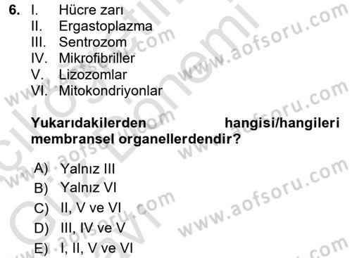 Temel Veteriner Histoloji ve Embriyoloji Dersi 2023 - 2024 Yılı (Vize) Ara Sınav Soruları 6. Soru