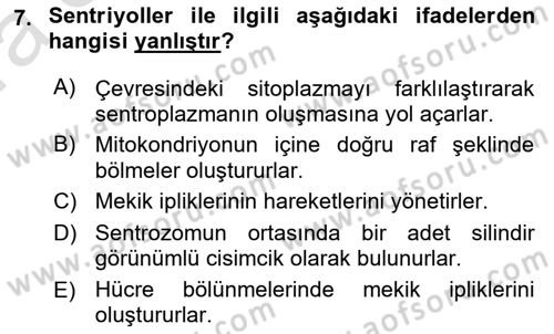 Temel Veteriner Histoloji ve Embriyoloji Dersi 2023 - 2024 Yılı (Vize) Ara Sınav Soruları 7. Soru