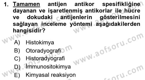 Temel Veteriner Histoloji ve Embriyoloji Dersi 2023 - 2024 Yılı (Final) Dönem Sonu Sınav Soruları 1. Soru