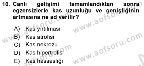 Temel Veteriner Histoloji ve Embriyoloji Dersi 2023 - 2024 Yılı (Final) Dönem Sonu Sınav Soruları 10. Soru