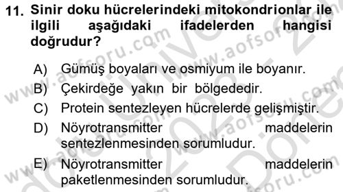 Temel Veteriner Histoloji ve Embriyoloji Dersi 2023 - 2024 Yılı (Final) Dönem Sonu Sınav Soruları 11. Soru