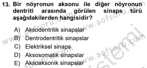 Temel Veteriner Histoloji ve Embriyoloji Dersi 2023 - 2024 Yılı (Final) Dönem Sonu Sınav Soruları 13. Soru