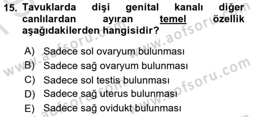 Temel Veteriner Histoloji ve Embriyoloji Dersi 2023 - 2024 Yılı (Final) Dönem Sonu Sınav Soruları 15. Soru