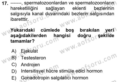 Temel Veteriner Histoloji ve Embriyoloji Dersi 2023 - 2024 Yılı (Final) Dönem Sonu Sınav Soruları 17. Soru