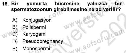 Temel Veteriner Histoloji ve Embriyoloji Dersi 2023 - 2024 Yılı (Final) Dönem Sonu Sınav Soruları 18. Soru