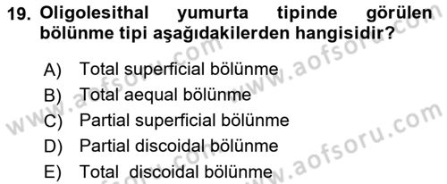 Temel Veteriner Histoloji ve Embriyoloji Dersi 2023 - 2024 Yılı (Final) Dönem Sonu Sınav Soruları 19. Soru