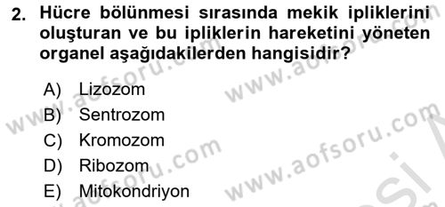 Temel Veteriner Histoloji ve Embriyoloji Dersi 2023 - 2024 Yılı (Final) Dönem Sonu Sınav Soruları 2. Soru