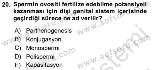 Temel Veteriner Histoloji ve Embriyoloji Dersi 2023 - 2024 Yılı (Final) Dönem Sonu Sınav Soruları 20. Soru