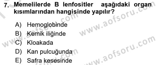 Temel Veteriner Histoloji ve Embriyoloji Dersi 2023 - 2024 Yılı (Final) Dönem Sonu Sınav Soruları 7. Soru